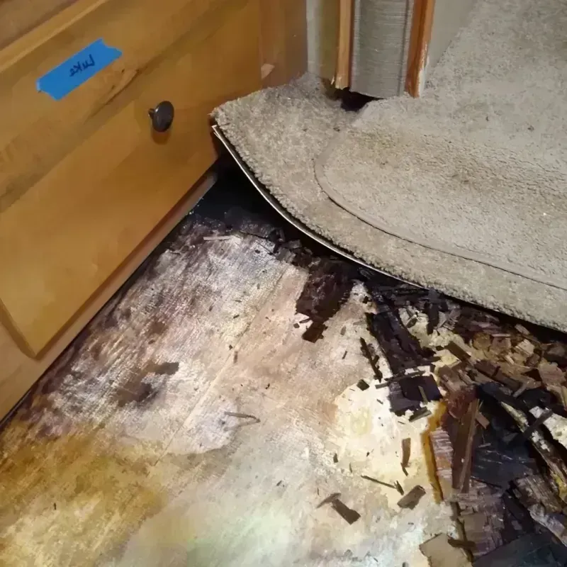 Wood Floor Water Damage in Leonardo, NJ